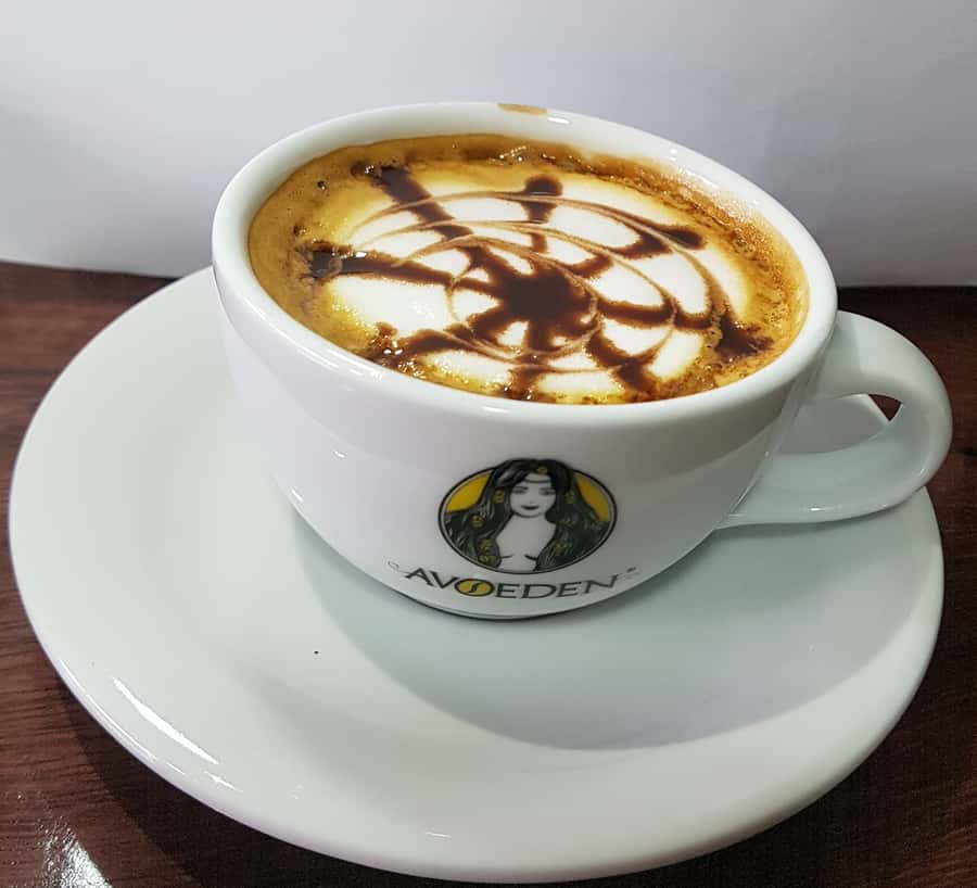 Medellin: Avoeden Café Coffee Brewing Workshop - What You Need to Plan Before You Go
