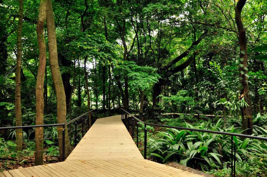 Medellín: Botanical Garden and Arvi Park City Tour - Why Medellín Botanical Garden and Arví Park fit together so well