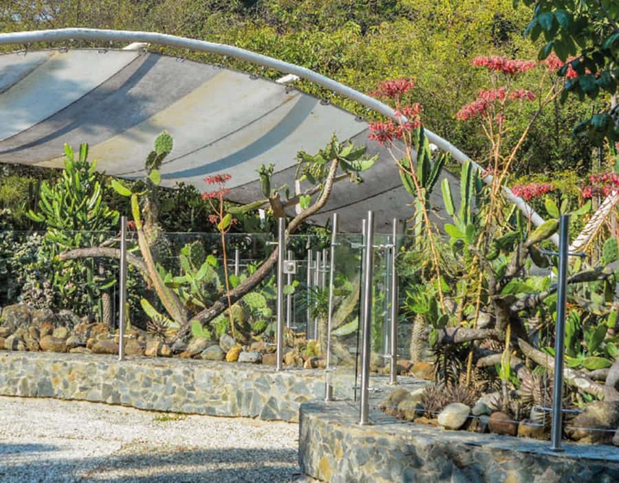 Medellín: Botanical Garden and Arvi Park City Tour - Metrocable: the city views you feel in your legs (and your camera)