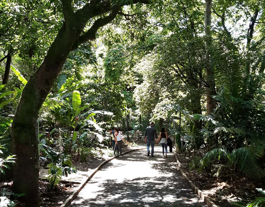 Medellín: Botanical Garden and Arvi Park City Tour - Arví Park trails and viewpoints: protected forest time without the guesswork