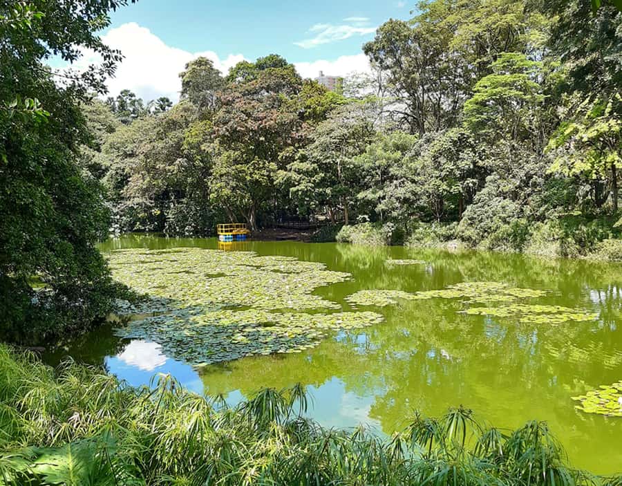 Medellín: Botanical Garden and Arvi Park City Tour - Who this tour is best for (and who should think twice)