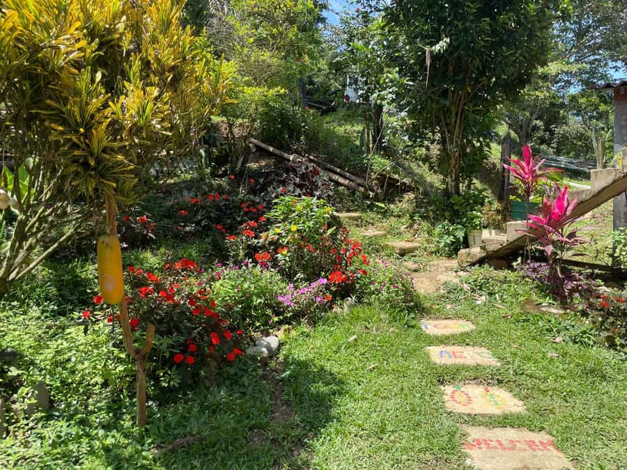 Medellín: Chocolate Tour & Exfoliation in beautiful river - Who Should Book This Cacao and Waterfall Day Trip