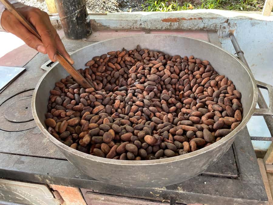Medellín: Chocolate Tour & Exfoliation in beautiful river - Pailania, Scenic Views, and Mirador de Cocorná