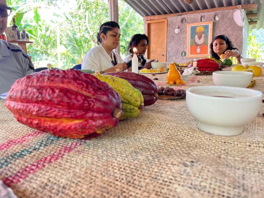 Medellín: Chocolate Tour & Exfoliation in beautiful river - San Francisco Cacao Farm Tour: From Tree to Chocolate Bar