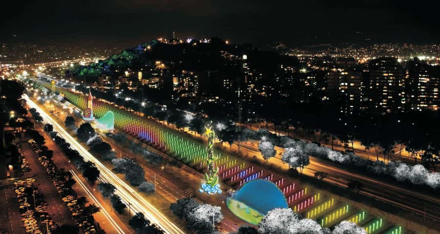 Medellin Christmas Lights Tour - Key highlights you will actually care about