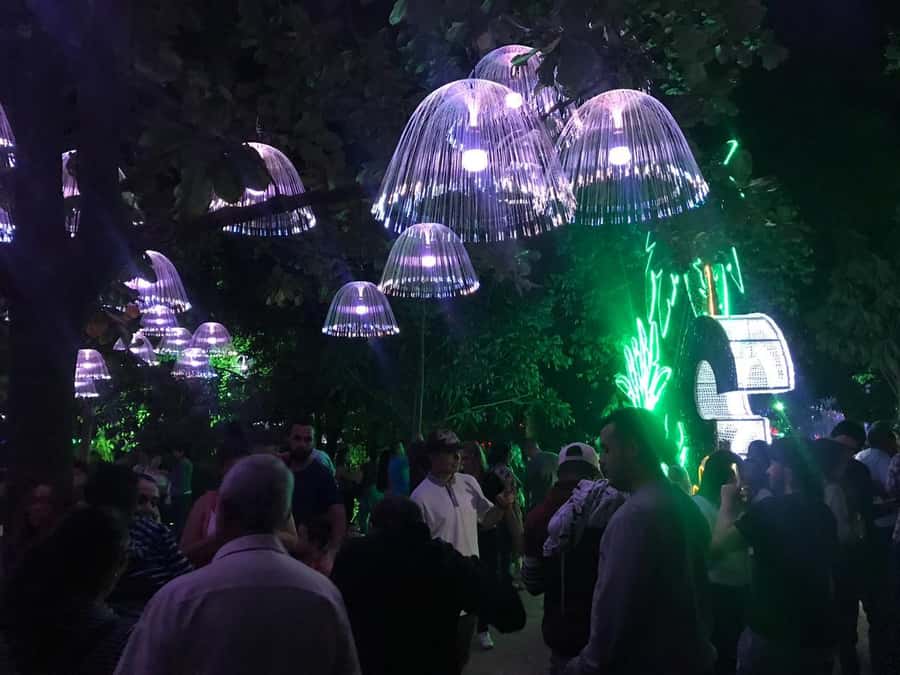 Medellin Christmas Lights Tour - Who should book this Medellin Christmas Lights tour