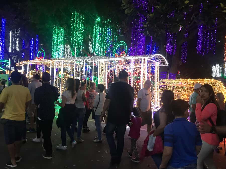 Medellin Christmas Lights Tour - Why Medellin’s Christmas lights feel special in the first place