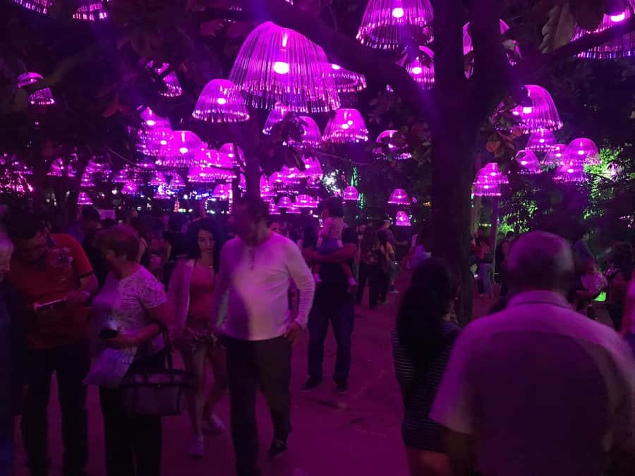 Medellin Christmas Lights Tour - Stop-by-stop: what you’ll do at each lights area