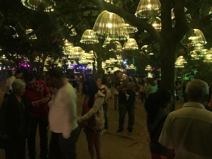 Medellin Christmas Lights Tour - The light shows and holiday atmosphere: what makes it more than decoration