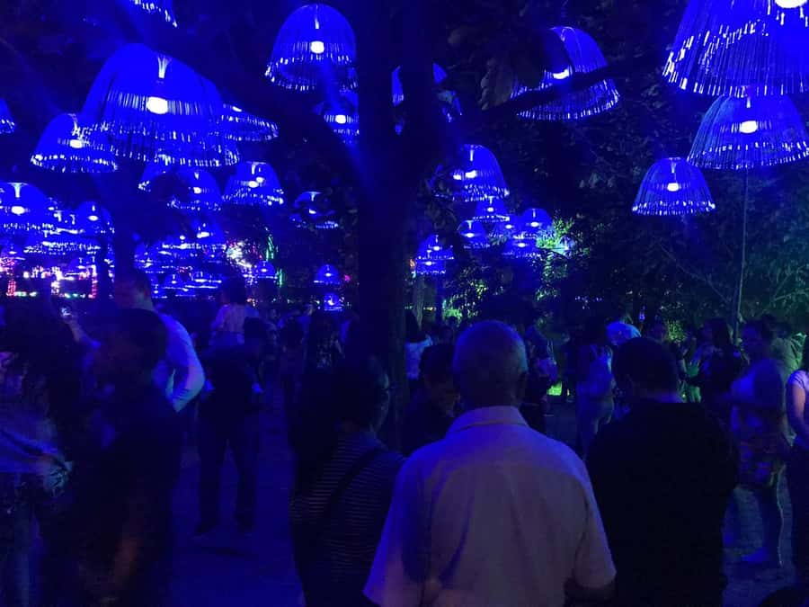Medellin Christmas Lights Tour - Guide quality: why bilingual helps more than you think