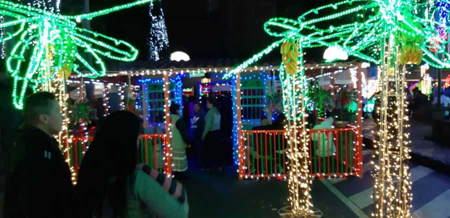 Medellin Christmas Lights Tour - Price and logistics: where $60 feels fair and where it might not