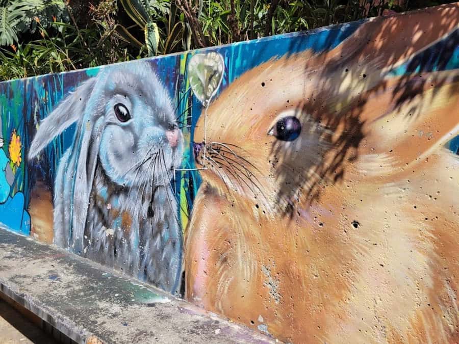 MEDELLIN: CITY TOUR MEDELLIN + GRAFFITOUR COMUNA 13 - Barefoot Park and River Parks: a calmer break that changes the pace