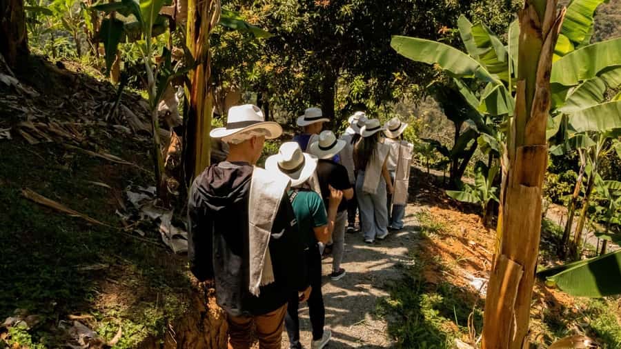 Medellin: Coffee and fruit tour - Quick hits from the farm day