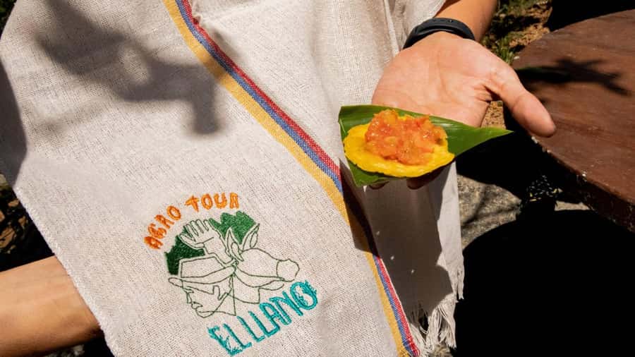 Medellin: Coffee and fruit tour - Tips to get the most out of the tour in real life