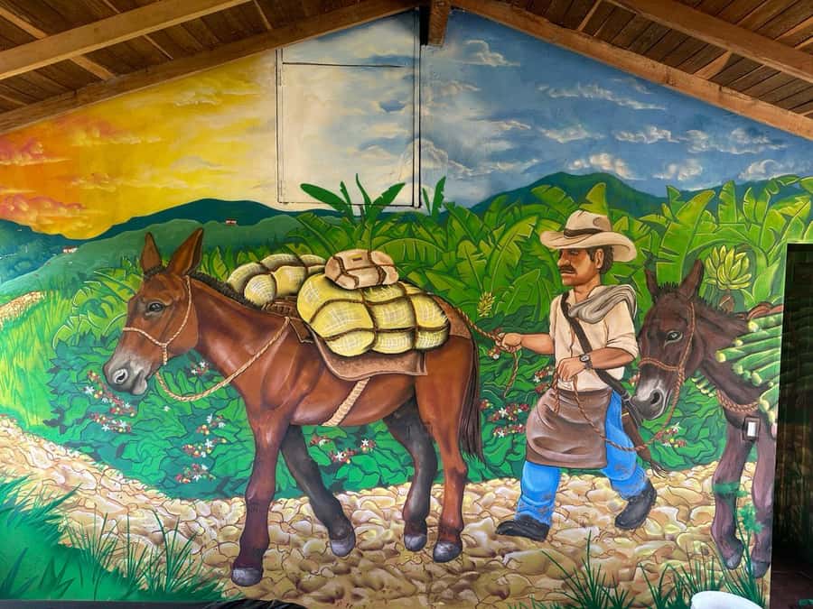 Medellin: Coffee and fruit tour - Antioquian farm culture, stories, sayings, and the poncho effect