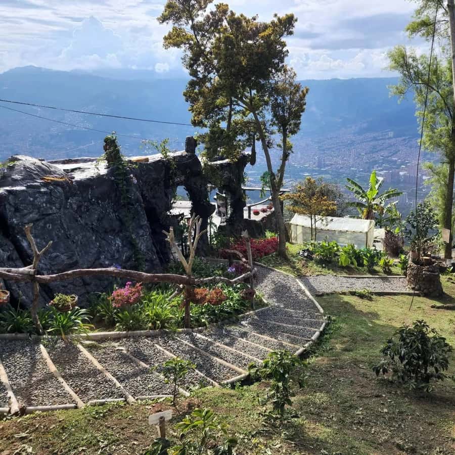 Medellin: Coffee Farm and Barista Workshop Experience - What You Get for $66: A Coffee Lesson with Real Making Time