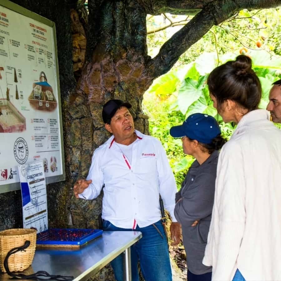 Medellin: Coffee Farm and Barista Workshop Experience - 3 Hours of Barista Workshop: Learning the Variables Behind Different Methods