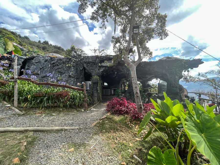 Medellin: Coffee Farm and Barista Workshop Experience - Don Leandro Special Coffee Farm: From Plant to Cup Logic