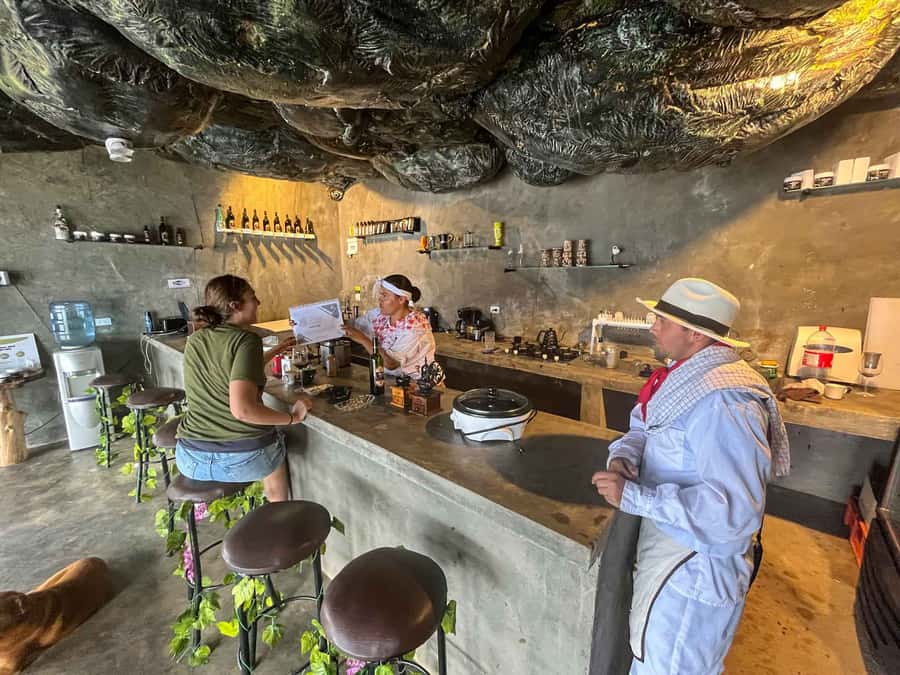 Medellin: Coffee Farm and Barista Workshop Experience - Should You Book the Medellín Coffee Farm and Barista Workshop?