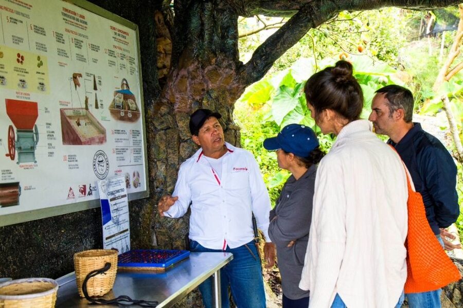 Medellin: Coffee Farm Tour & Spa with Overnight Glamping - Morning on the farm: planting, harvesting, and processing steps