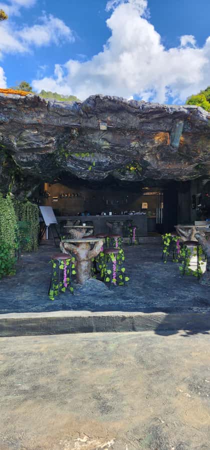 Medellin: Coffee Farm Tour & Spa with Overnight Glamping - Coffee tasting with certificate: methods, not just sips