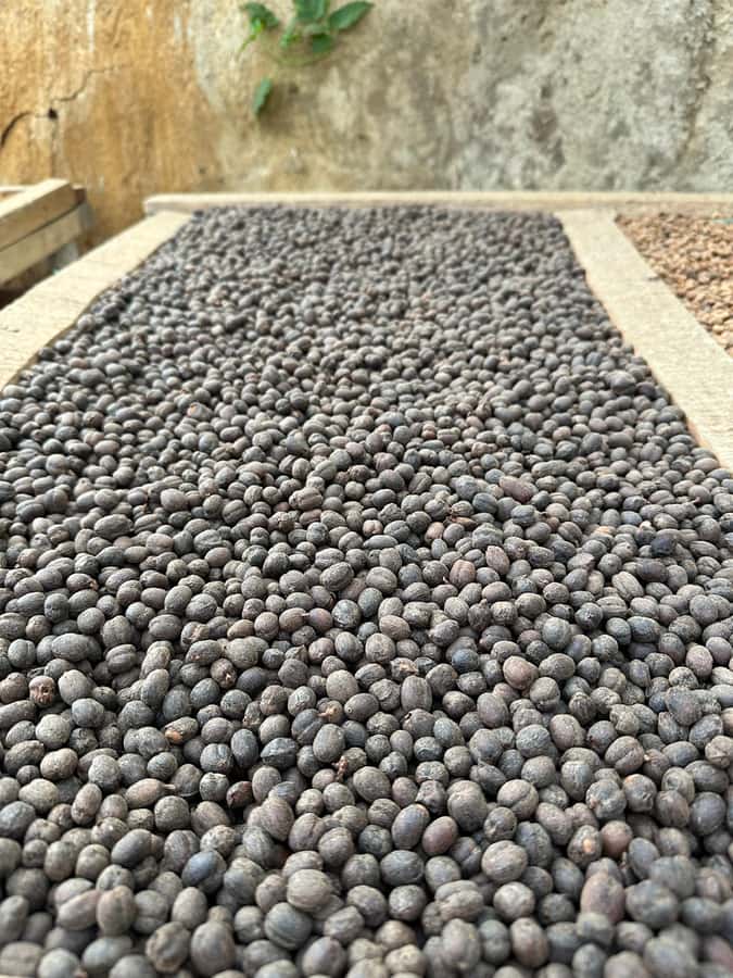 Medellín Coffee Farm Tour with Trolley and Cable Car Ride - Barrio La Sierra Is the Medellín Coffee Story Most Tours Skip