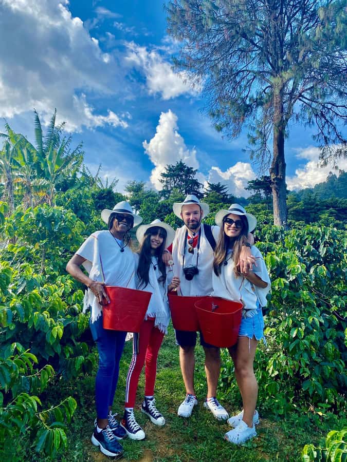Medellín Coffee Farm Tour with Trolley and Cable Car Ride - Casa Finca de La Sierra and the Museum Stop