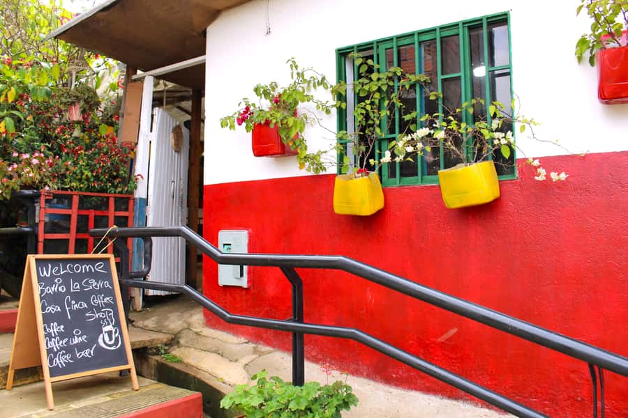 Medellín Coffee Farm Tour with Trolley and Cable Car Ride - Hands-On Harvesting: Picking Coffee Berries in Real Time