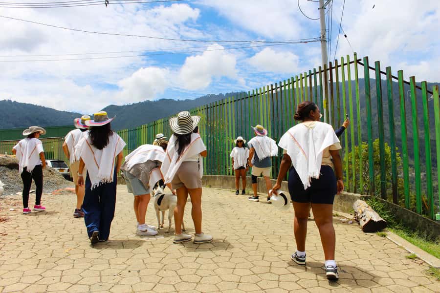 Medellín Coffee Farm Tour with Trolley and Cable Car Ride - From Seed to Cup: How the Process Builds Your Cup