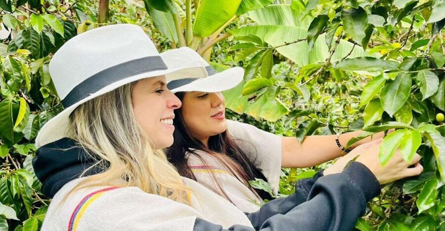 Medellín Coffee Farm Tour with Trolley and Cable Car Ride - Price and Value: Is $56 Worth It?