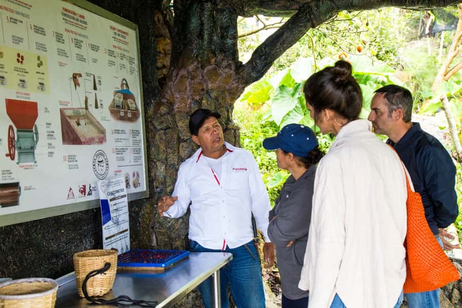 Medellin: Coffee Tour and Wellness Spa - Should you book Medellín Coffee Tour and Wellness Spa?