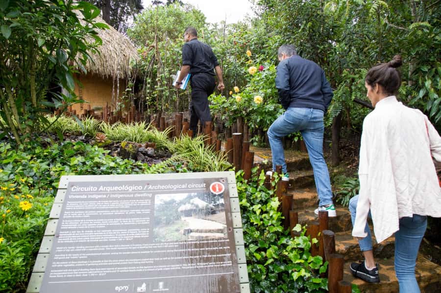Medellin: Coffee Tour and Wellness Spa - Don Leandro coffee farm tour: planting, growing, harvesting, and what makes it Colombian