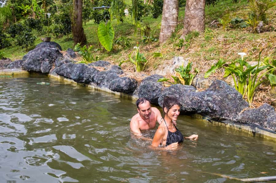 Medellin: Coffee Tour and Wellness Spa - Price and value: what $88 really buys you in Medellín