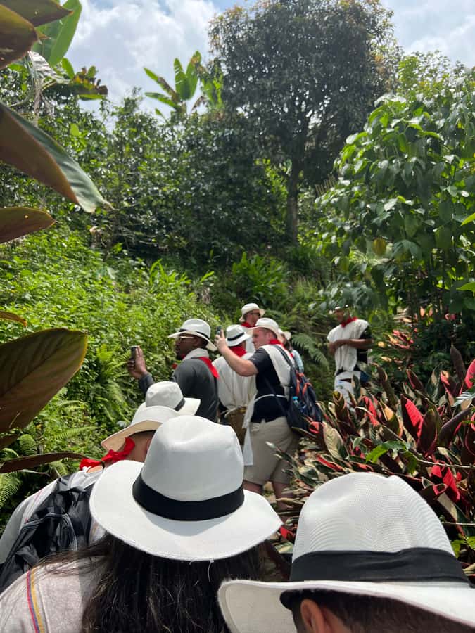 Medellín: Coffee Tour Experience at a Coffee Farm - Plantation time: farmer clothing, grinding, bean stages, and collecting beans