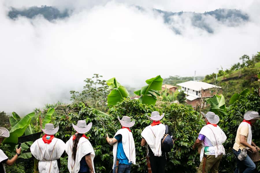 Medellin: Coffee Tour, Horseback Arrival, and Sugar Cane - Price and Value for $76 Per Person