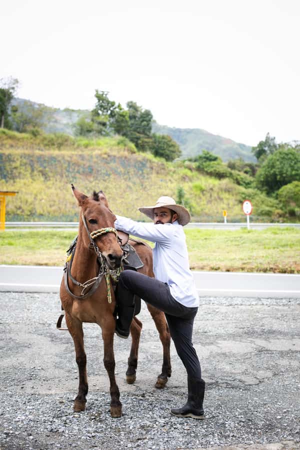 Medellin: Coffee Tour, Horseback Arrival, and Sugar Cane - Sugar Cane Processing and the Panela Aperitif Moment