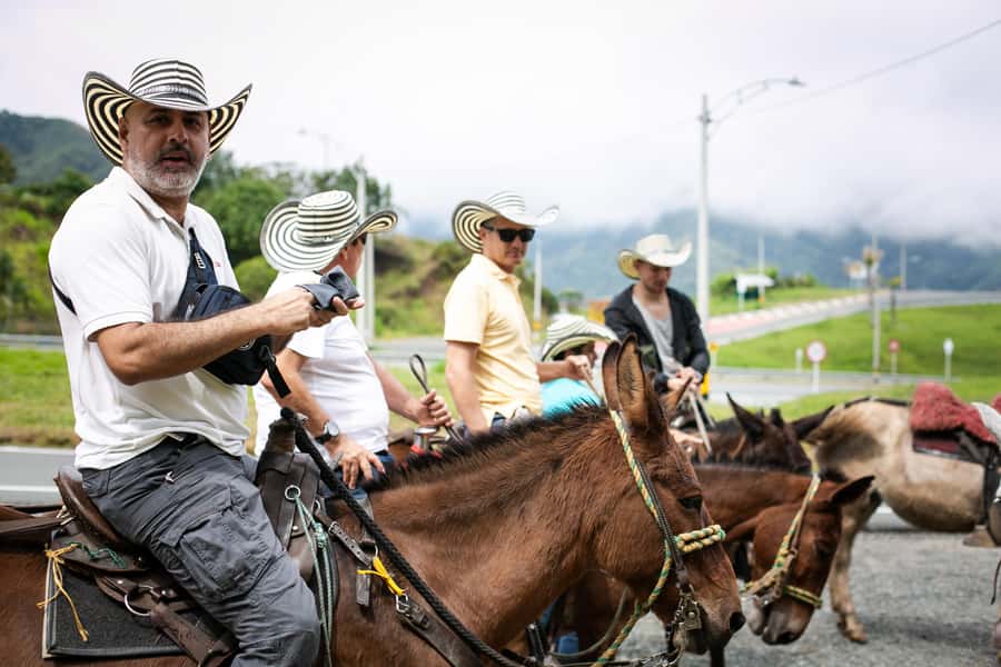 Medellin: Coffee Tour, Horseback Arrival, and Sugar Cane - Quick Antioquia Photo Stop: Setting the Scene Before the Work Begins