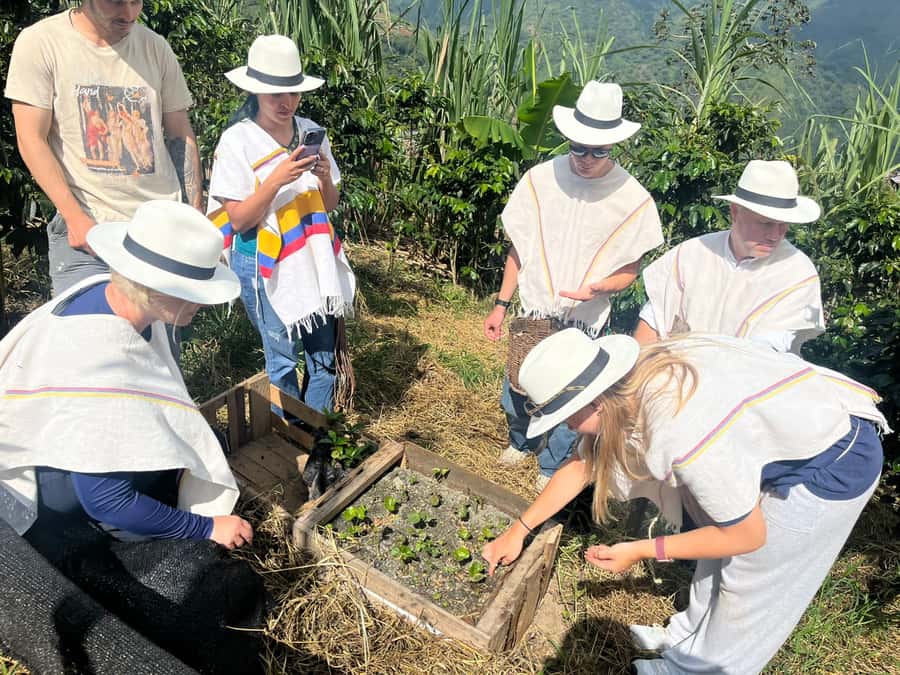 Medellin: Coffee Tour with Hotel Transfers and Meals - How the Medellín coffee tour actually plays out with hotel transfers