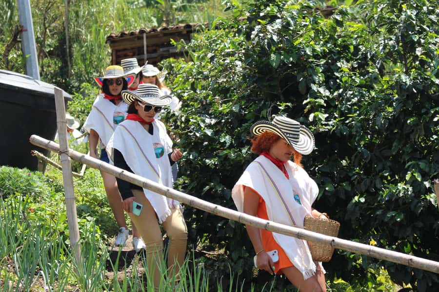 Medellin: Coffee Tour with Hotel Transfers and Meals - Coffee tasting that teaches you more than just how coffee tastes