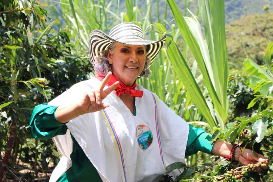 Medellin: Coffee Tour with Hotel Transfers and Meals - Plátano calado con quesito dessert, and why the timing feels right