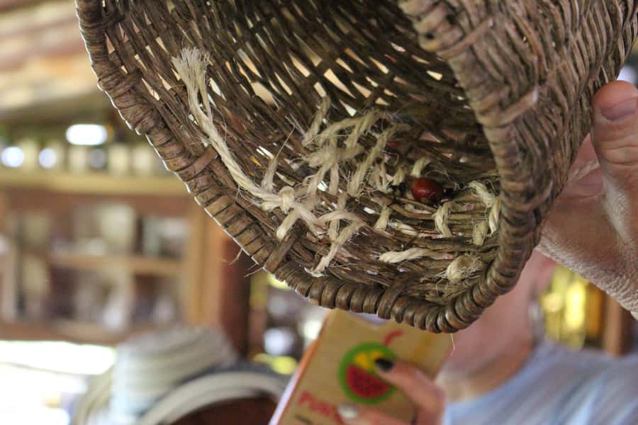 Medellin: Coffee Tour with Hotel Transfers and Meals - Optional horseback riding for extra viewpoints (extra cost)