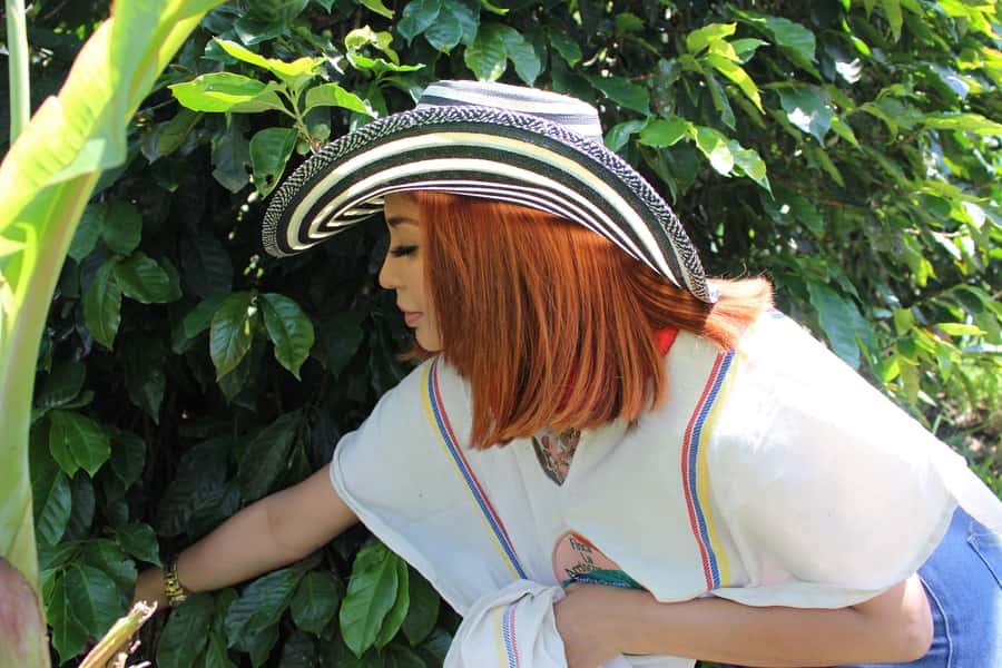 Medellin: Coffee Tour with Hotel Transfers and Meals - What to wear and bring, plus the real-life “steep hill” warning