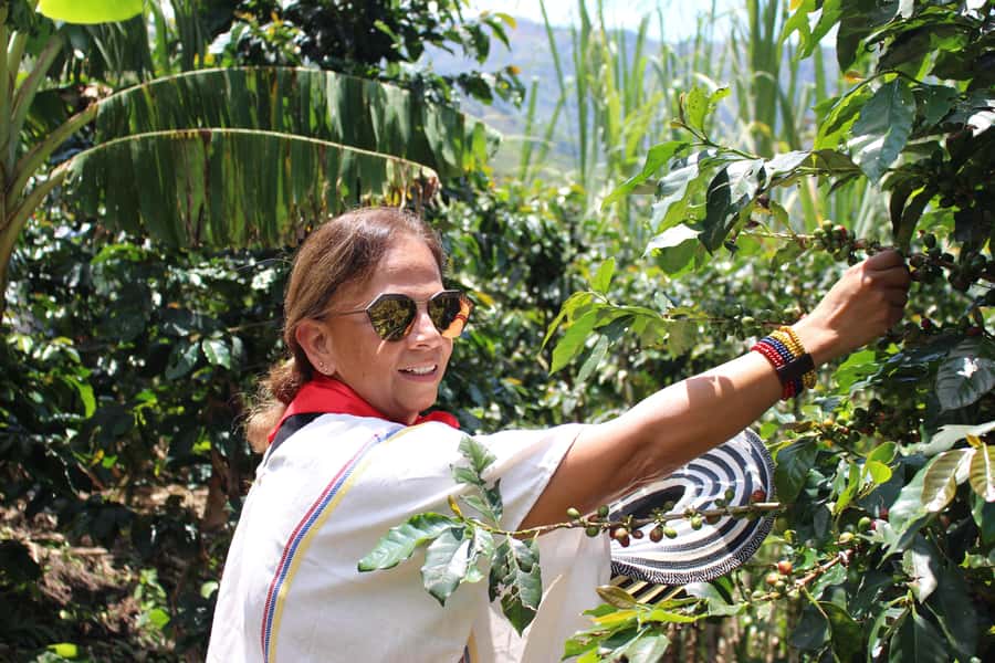 Medellin: Coffee Tour with Hotel Transfers and Meals - From coffee varieties to roasting and milling, what you learn on the farm