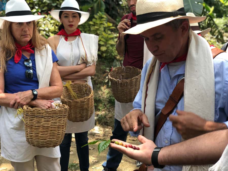 Medellin: Coffee Tour with Transport, Snacks and Tastings - Snacks and paisa lunch: how the meal ties to the region