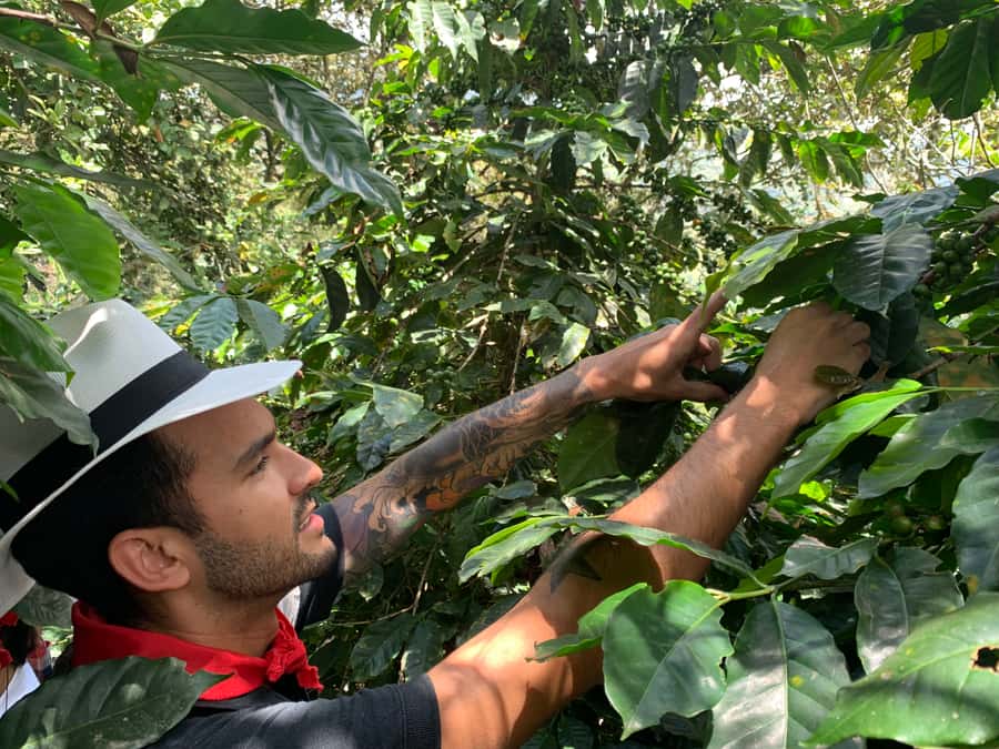 Medellin: Coffee Tour with Transport, Snacks and Tastings - Break time and shopping: keep your pace and grab souvenirs