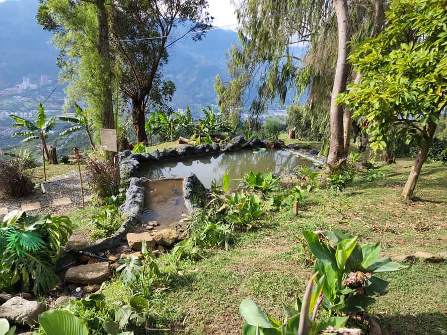 Medellin: Glamping Spa and coffee tour Experience - Welcome Diner and the Tamal Cafetero Start