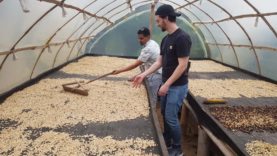 Medellin: Guatape, El Peñol Coffee Farm Private Tour & Fruit - Marinilla Fruit Tasting: Start With Sweet, Strange, Local