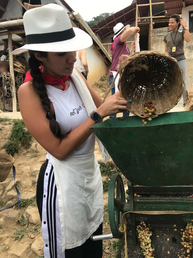 Medellín: Guatape Village with Coffee and Fruit Tasting Tour - Price and value: why $174 can make sense for this day