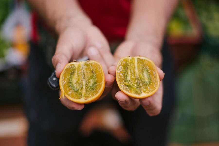 Medellín: Guided Exotic Fruits Tour - Your guide at the center: Sofia, Diana, David, and the market rapport factor