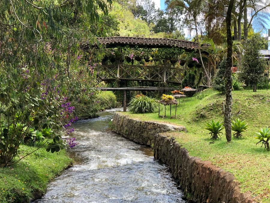 Medellín: Half-Day Private Colonial Towns Tour - The guide, the drive, and why the pace feels safe
